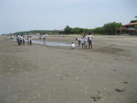 /album/fotogaleria/actividades-de-scouts-019-jpg/